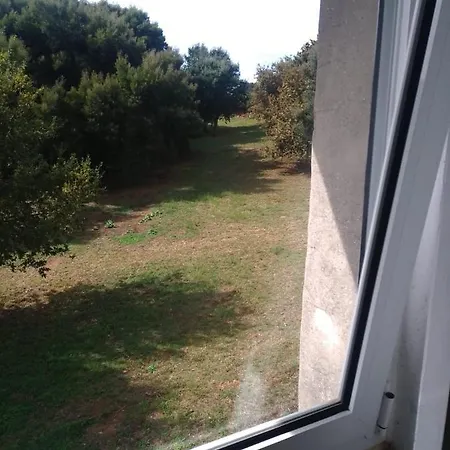 Maison d'hôtes Douro Ecostudio