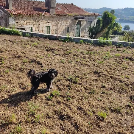 Douro Ecostudio